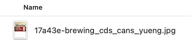 Normal file name